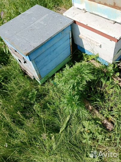 Улей для пчел бу