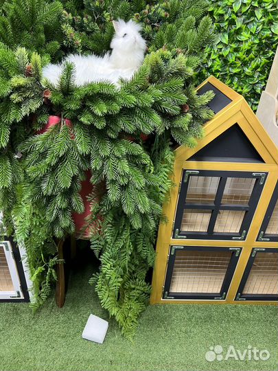 Мини кролик ручной