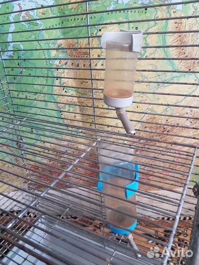 Клетка для птиц оцинкованная