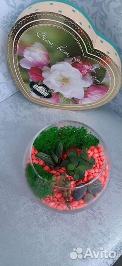 Флорариум - подарок и элемент декора