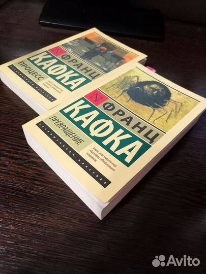 Франц Кафка, процесс+превращение