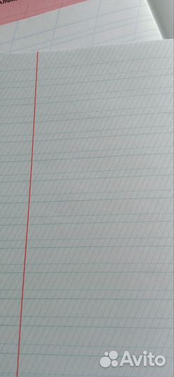 Тетради школьные в косую линию,12 л