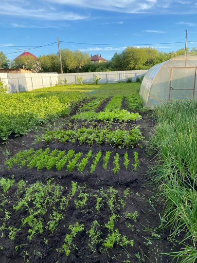 Участок 5,7 сот. (СНТ, ДНП)