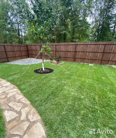 Укладка газона / стандарт