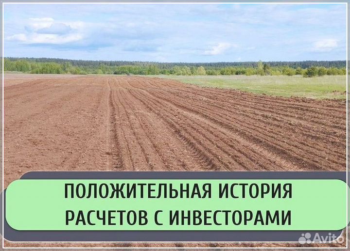 Ищу инвестора в сельское хозяйство