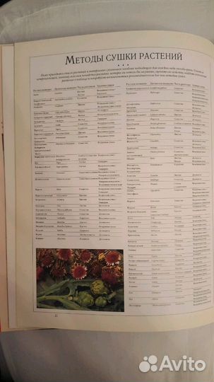 Книга Композиции из сухоцветов