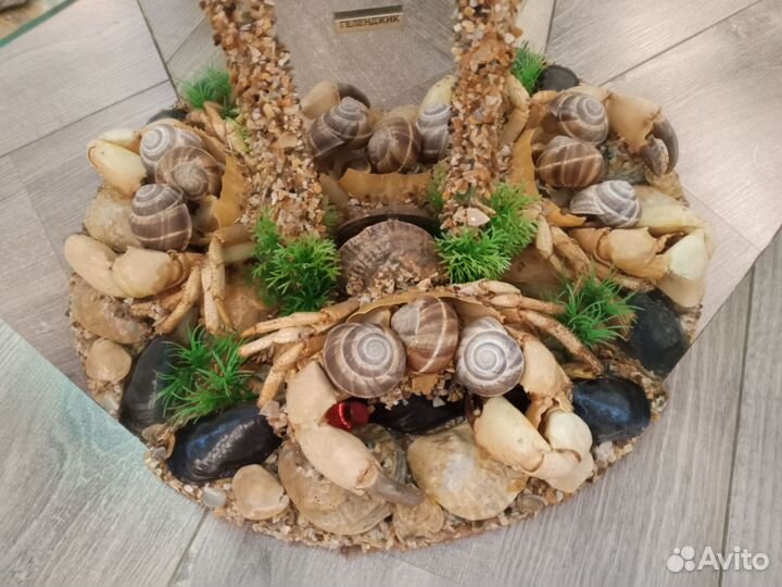 Морские ракушки раковины