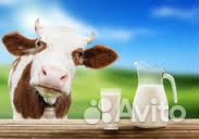 Молоко, творог