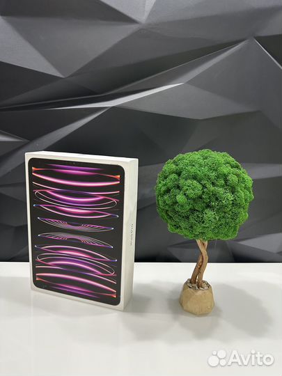 iPad Pro 11 M2 1TB Wi-Fi + LTE Space Gray