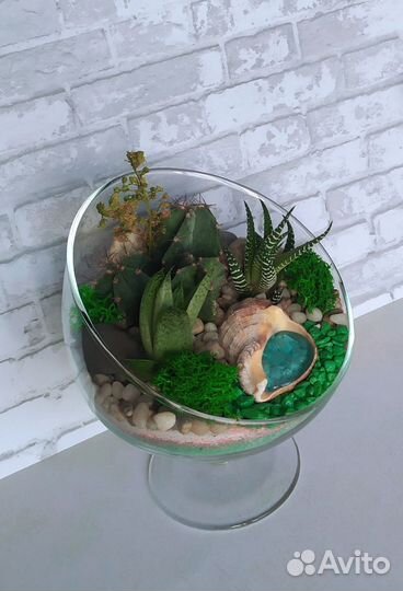 Флорариум - мини-садик