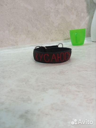 Амуниция для собак на заказ