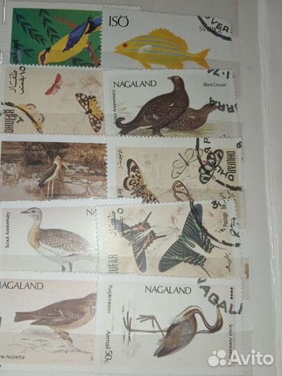 Почтовые марки