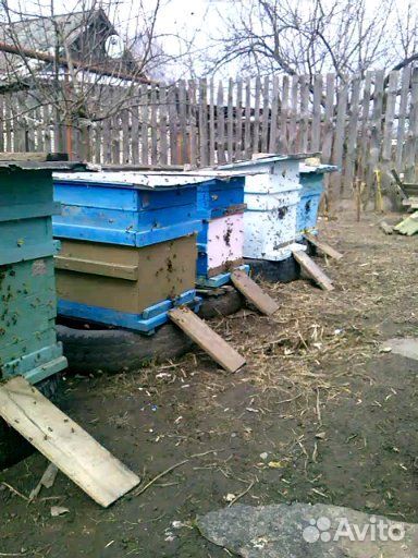 Ульи 12 рамочные