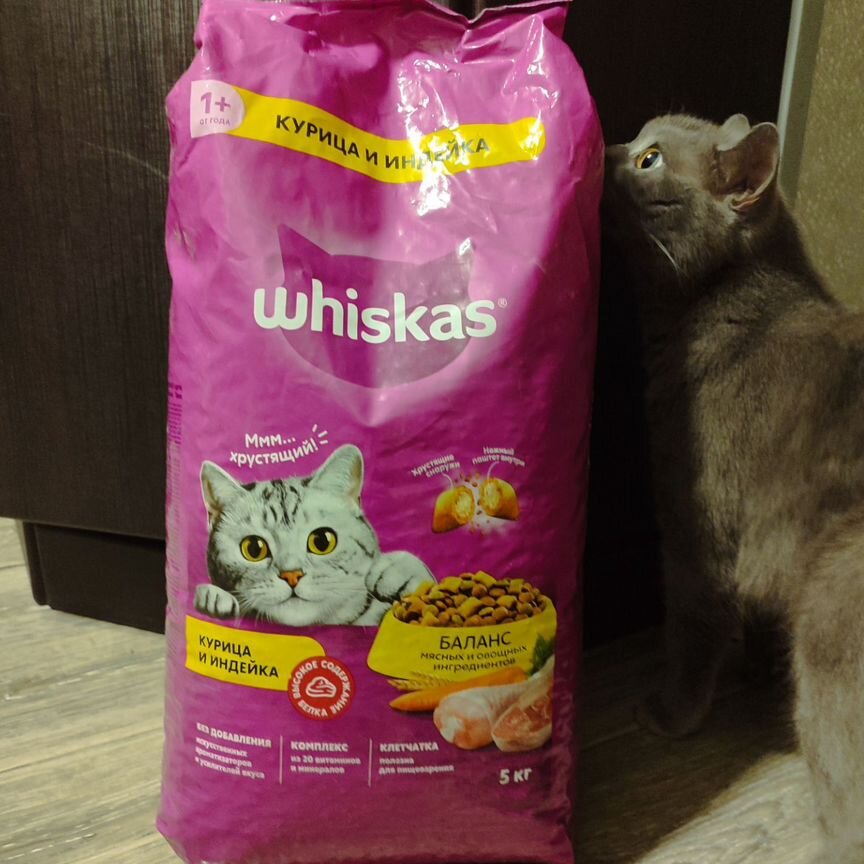 Корм для кошек whiskas 5кг