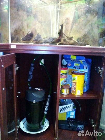 Аквариум