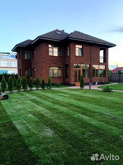 Рулонный газон от производителя