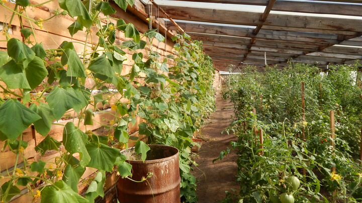 Производство, 13903 м²