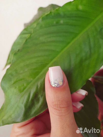 Мастер маникюра на дому