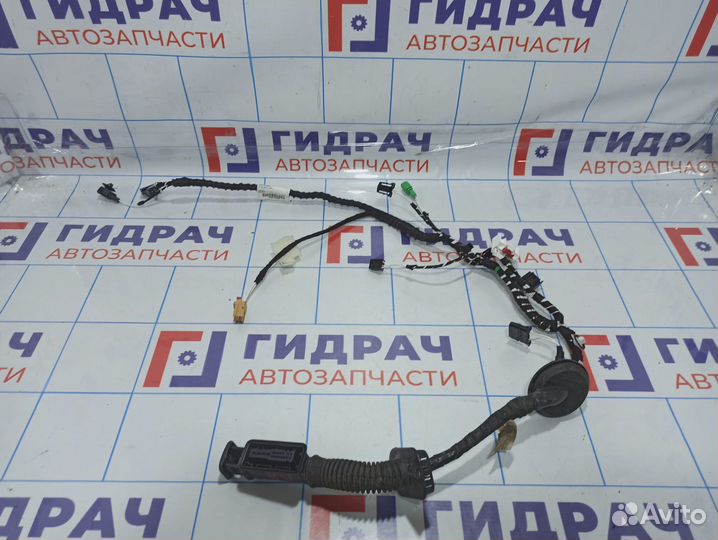 Проводка двери задней правой Volkswagen Tiguan (Mk2) 5NA971694K