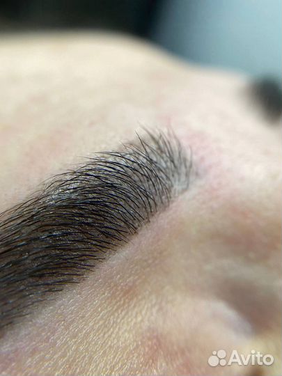 Мастер бровист