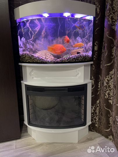 Аквариум