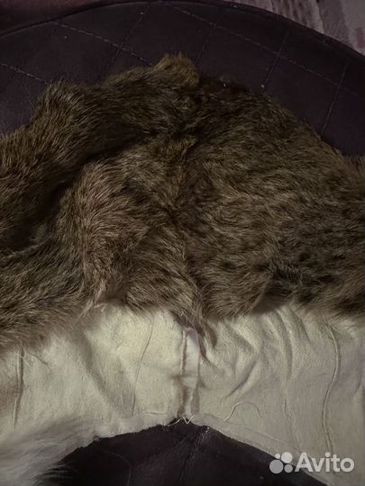 Обрезок шкурки рыси