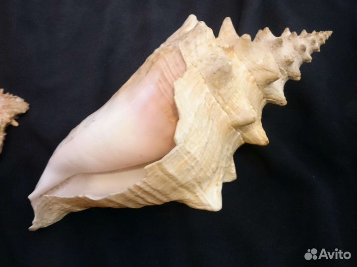 Принадлежности для аквариума