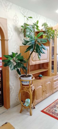 1-к. квартира, 40 м², 2/5 эт.