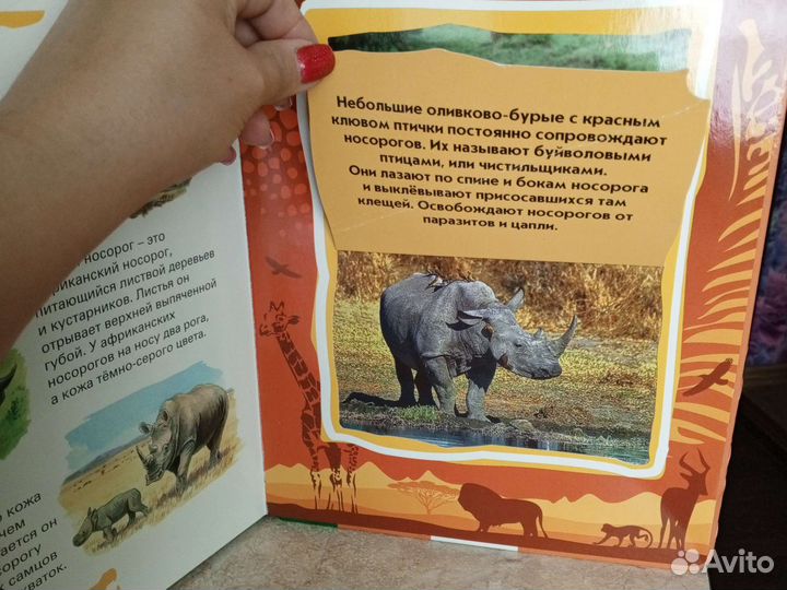 Детская энциклопедия