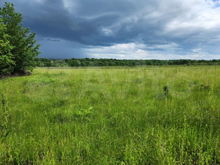 Участок 36 га (СНТ, ДНП)