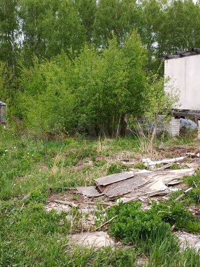Участок 10 сот. (ИЖС)