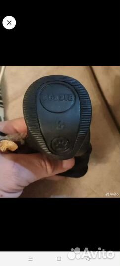 Обувь для собак