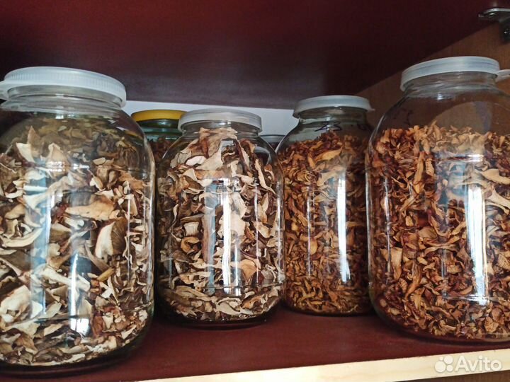 Грибы сушеные