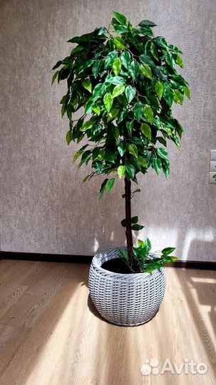 Искусственные растения