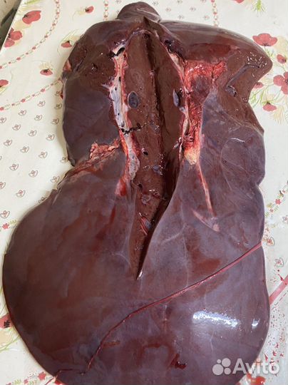 Печень говяжья