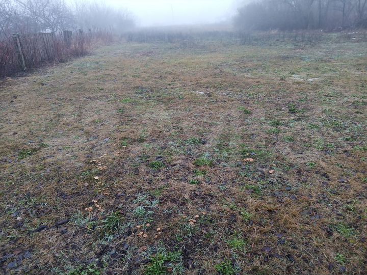 Дом 40 м² на участке 40 сот.