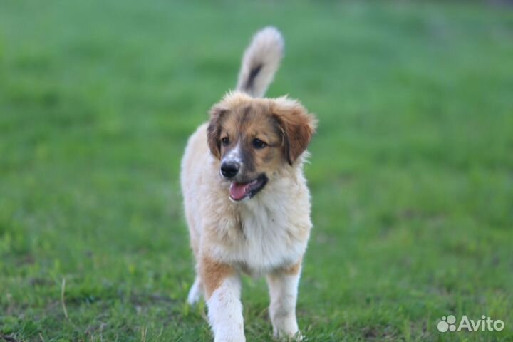 Помогите найти дом