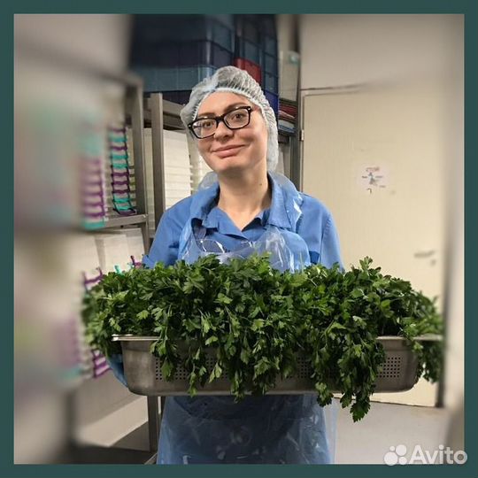 Мойщик посуды