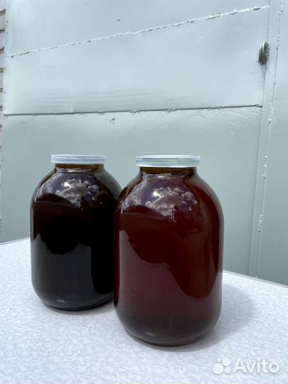 Мед гречишный свежий