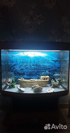 Аквариум панорамный с тумбой