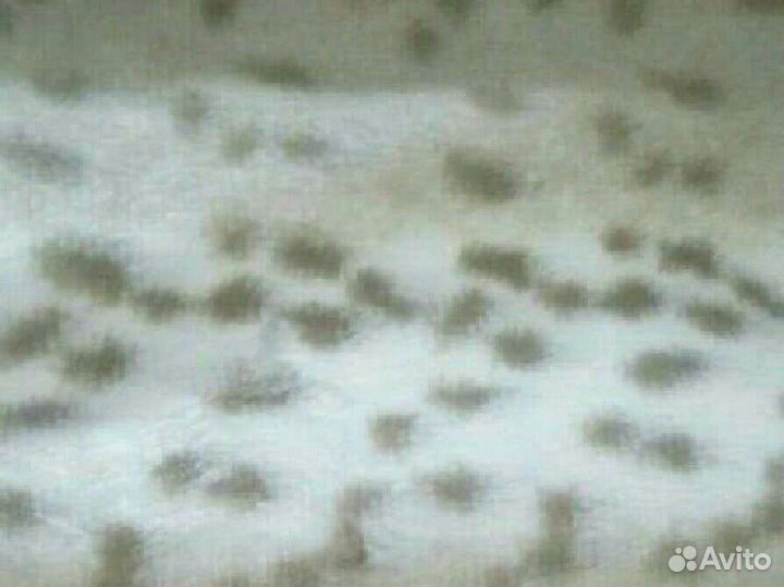 Отрез ткани.Мех и джинс стрейч хлопок