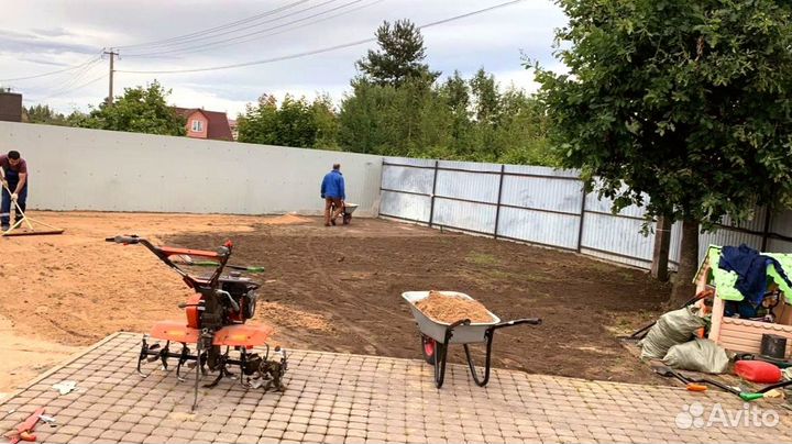 Рулонный газон