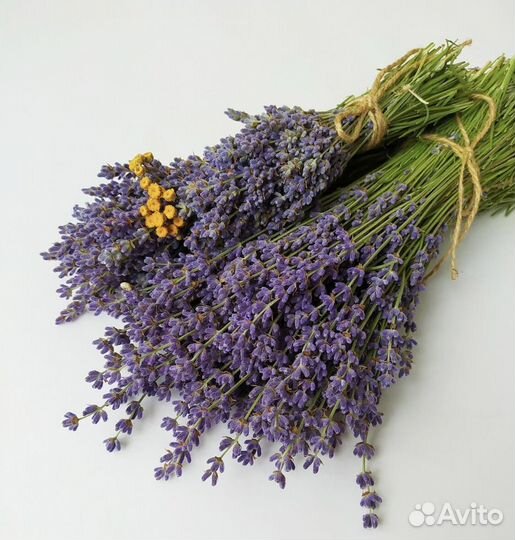 Цветы, лаванда, украшение для дома