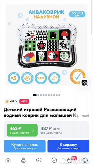 Грызунок Pigeon