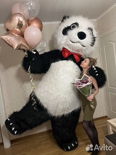 Белый Мишка/ростовая кукла/экспресс поздравления