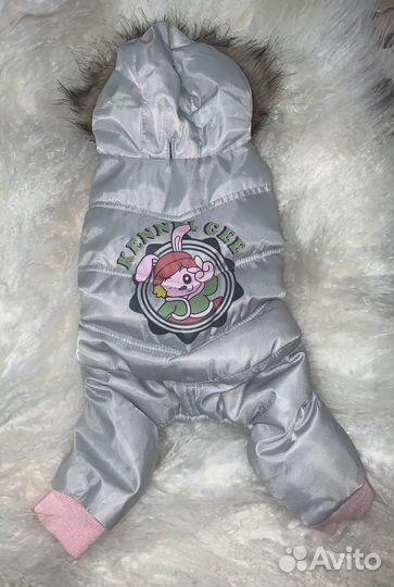 Одежда для собак