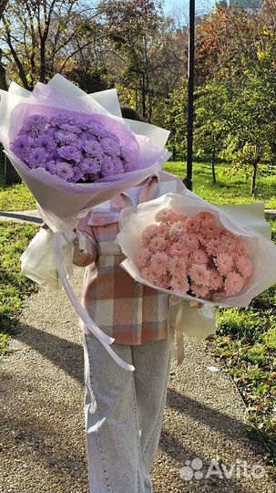 Хризантема букет живые цветы