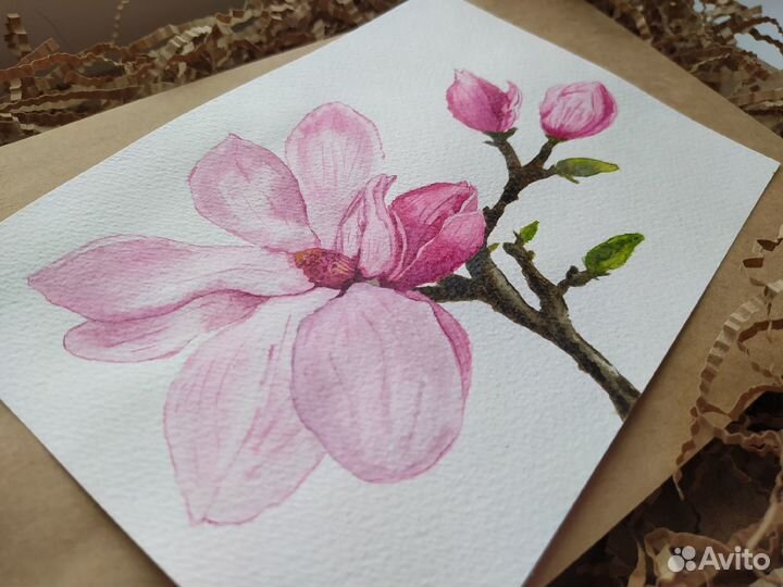 Картинка цветок магнолия. А5