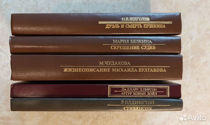 Серия книг Писатели о писателях