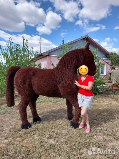 Топиарные фигуры